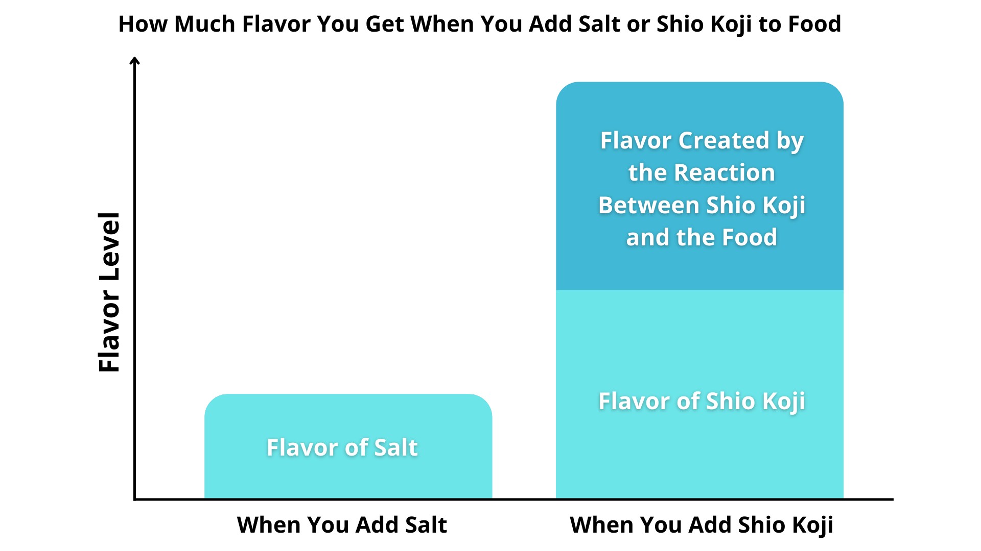 How Much Flavor You Get When You Add Salt or Shio Koji to Food