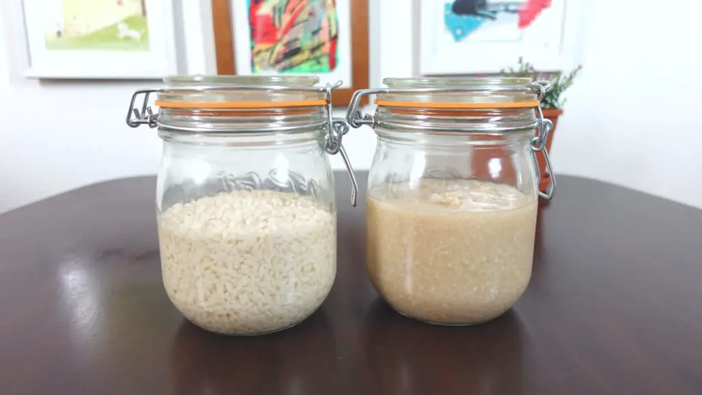 Shio koji before fermentation (left) and after fermentation (right)