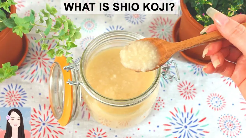 What Is Shio Koji The Complete Guide