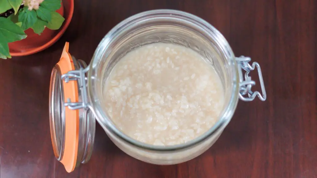 Your shio koji is ready when it's liquidy like a paste