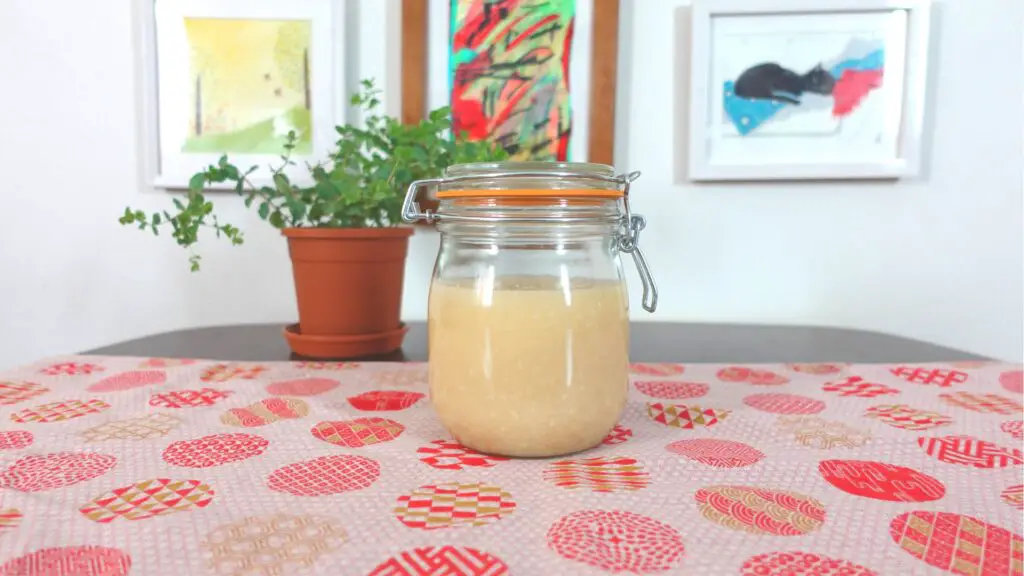 shio koji jar side view