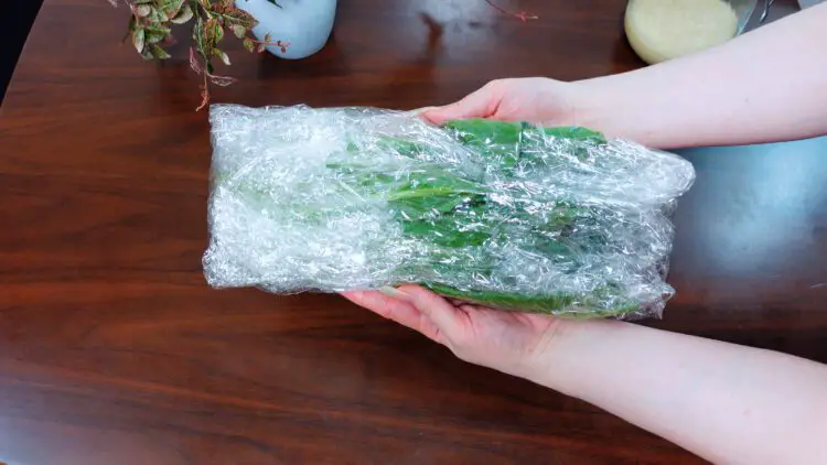 wrap the vegetable completely