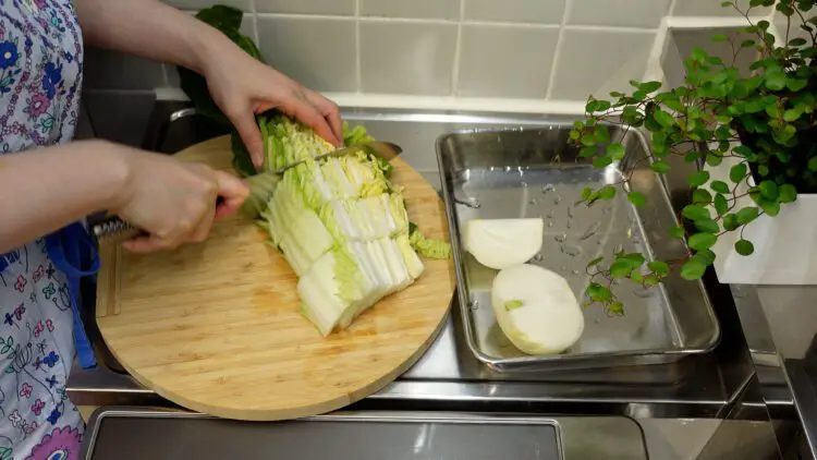Chop up Chinese cabbage and onion into large pieces