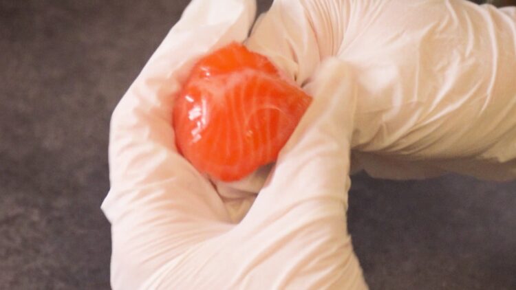 making salmon sushi with a plastic wrap