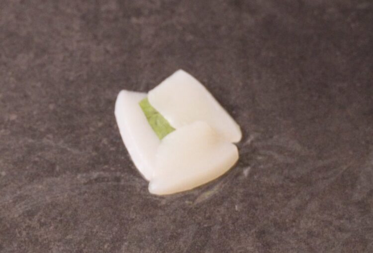 Squid slices with a piece of basil leaf