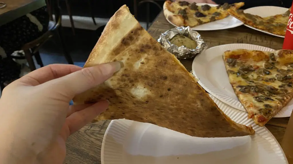 Bottom of a pizza slice