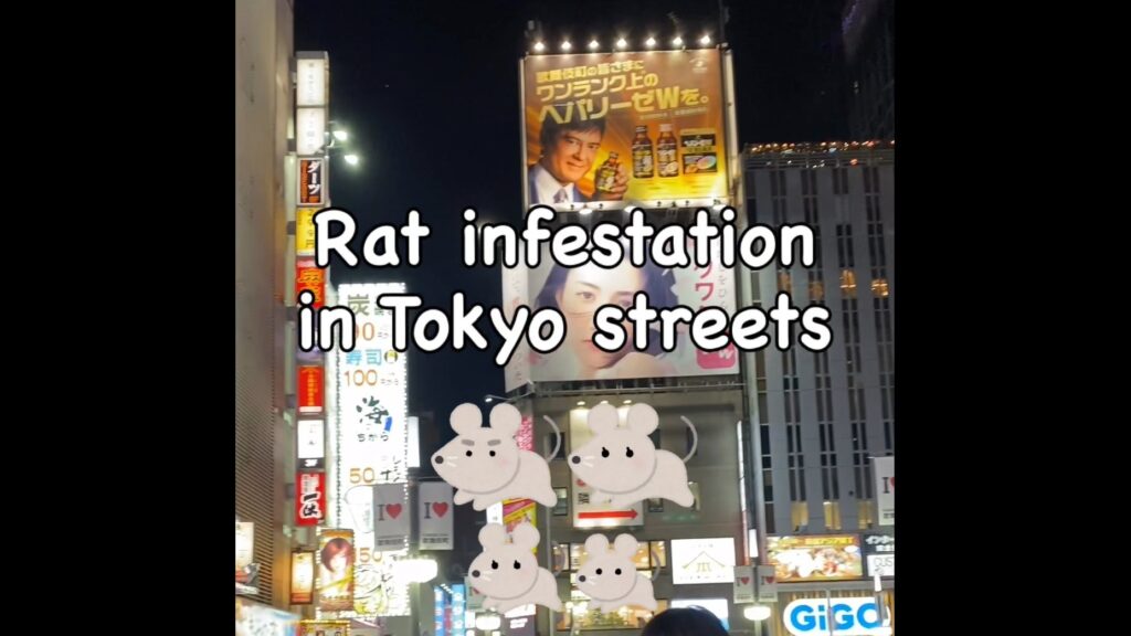 Rat Infestation in Tokyo Streets