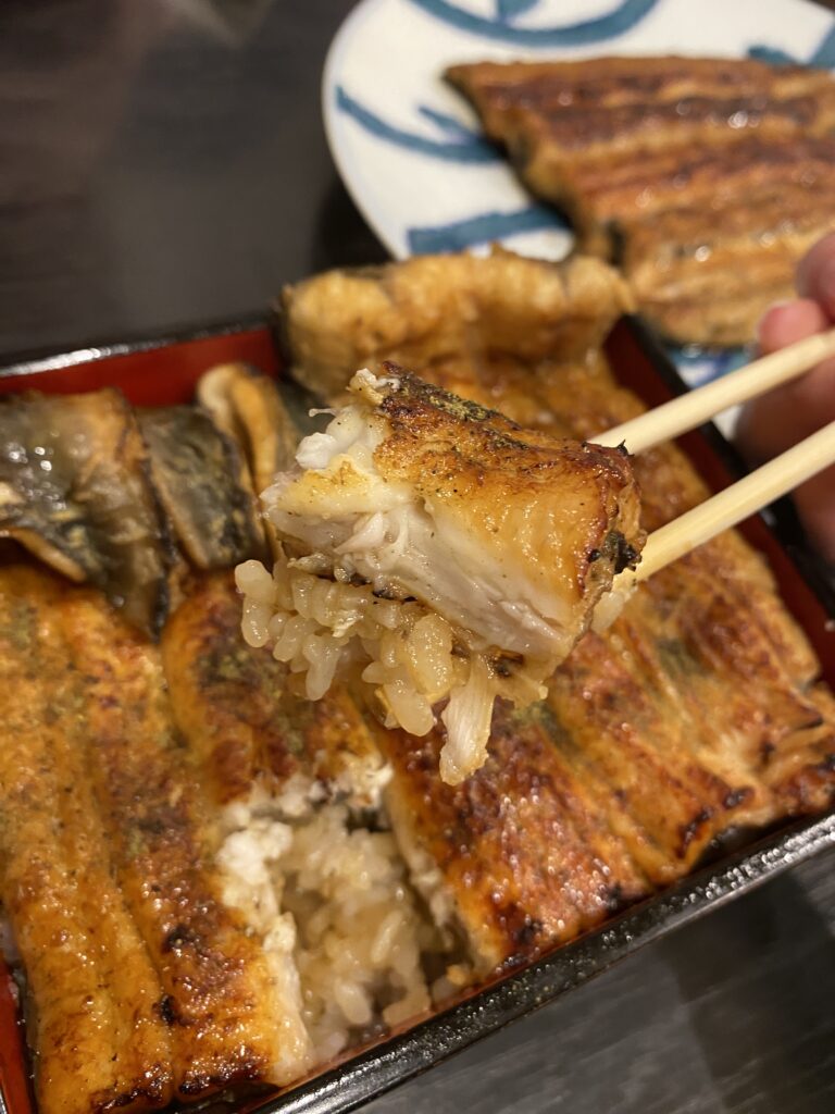 picking up some of tokujo unaju with chopsticks